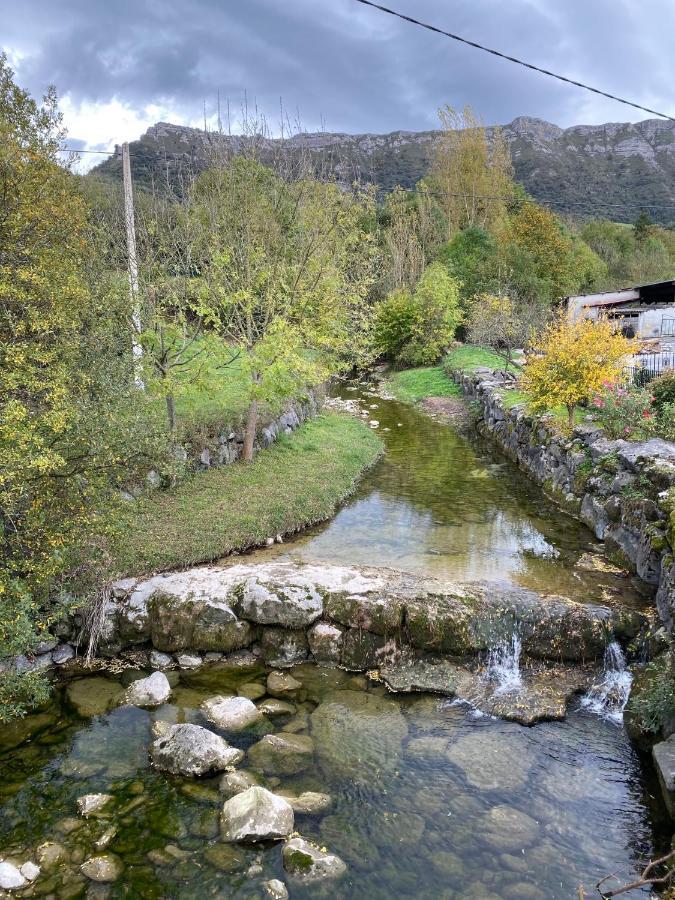 Zankueta Etxea Vendégház Délica Kültér fotó